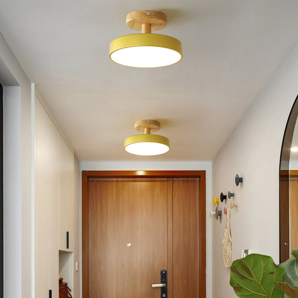 Pedol Ceiling Light