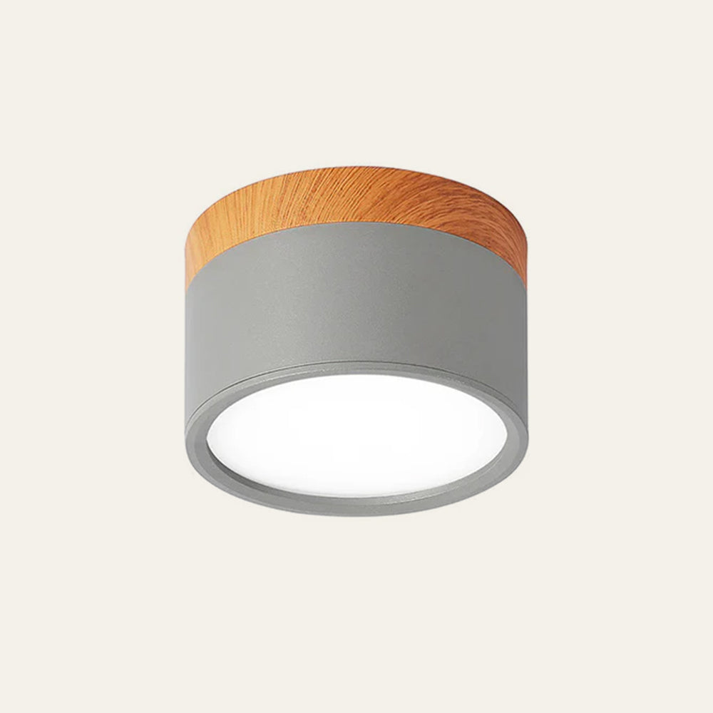 Cylinder Small Ceiling Light