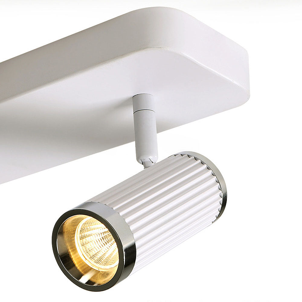 Celzilo Ceiling Light