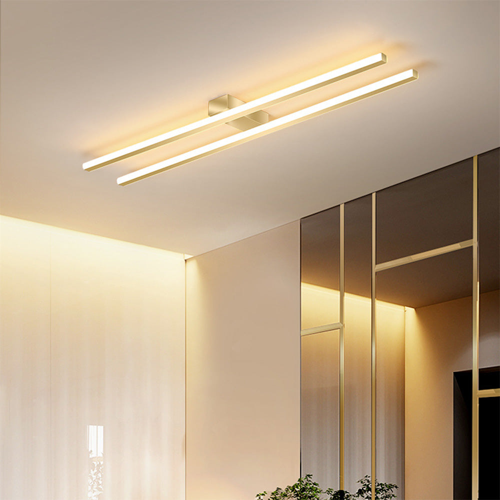 DuoLine Ceiling Light