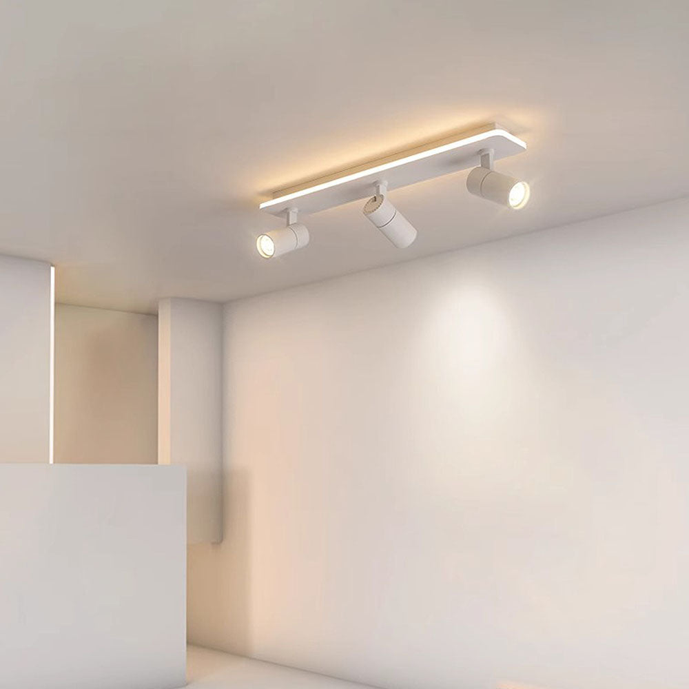 Triccon Ceiling Light