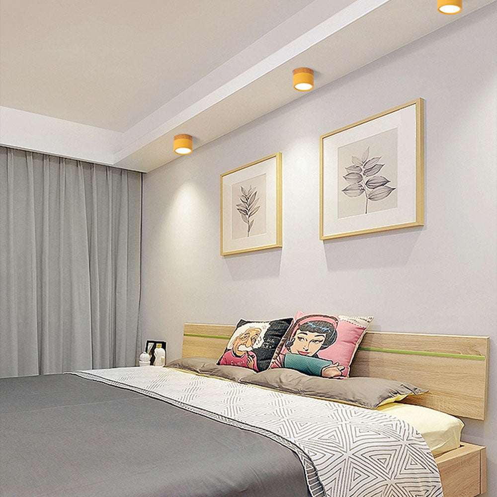 Cylinder Small Ceiling Light
