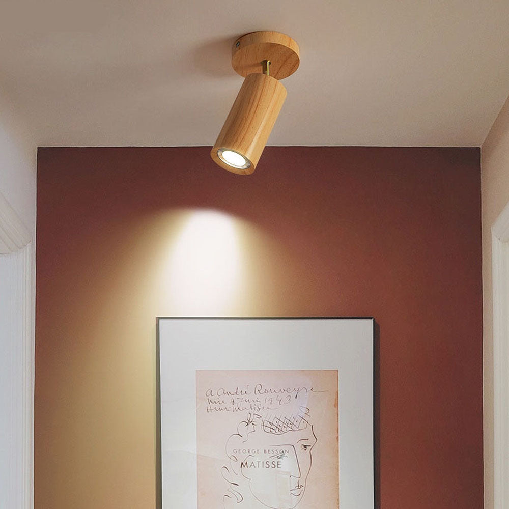 Metoza Ceiling Light