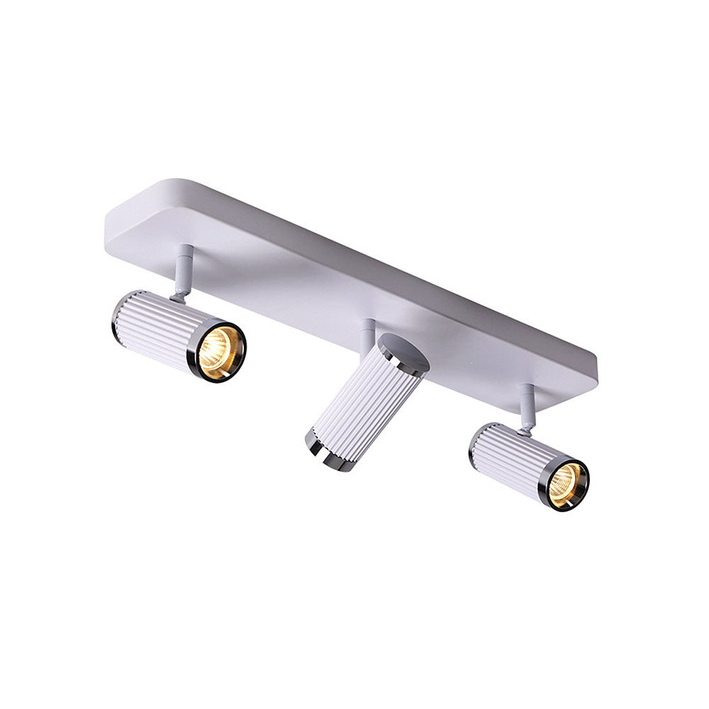 Celzilo Ceiling Light