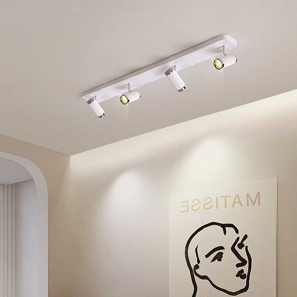 Celzilo Ceiling Light