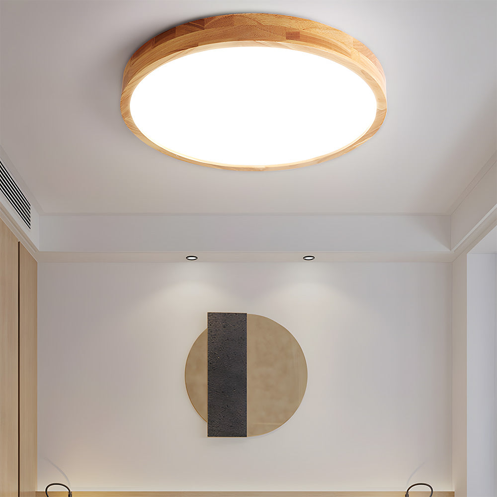 Erlivon Ceiling Light
