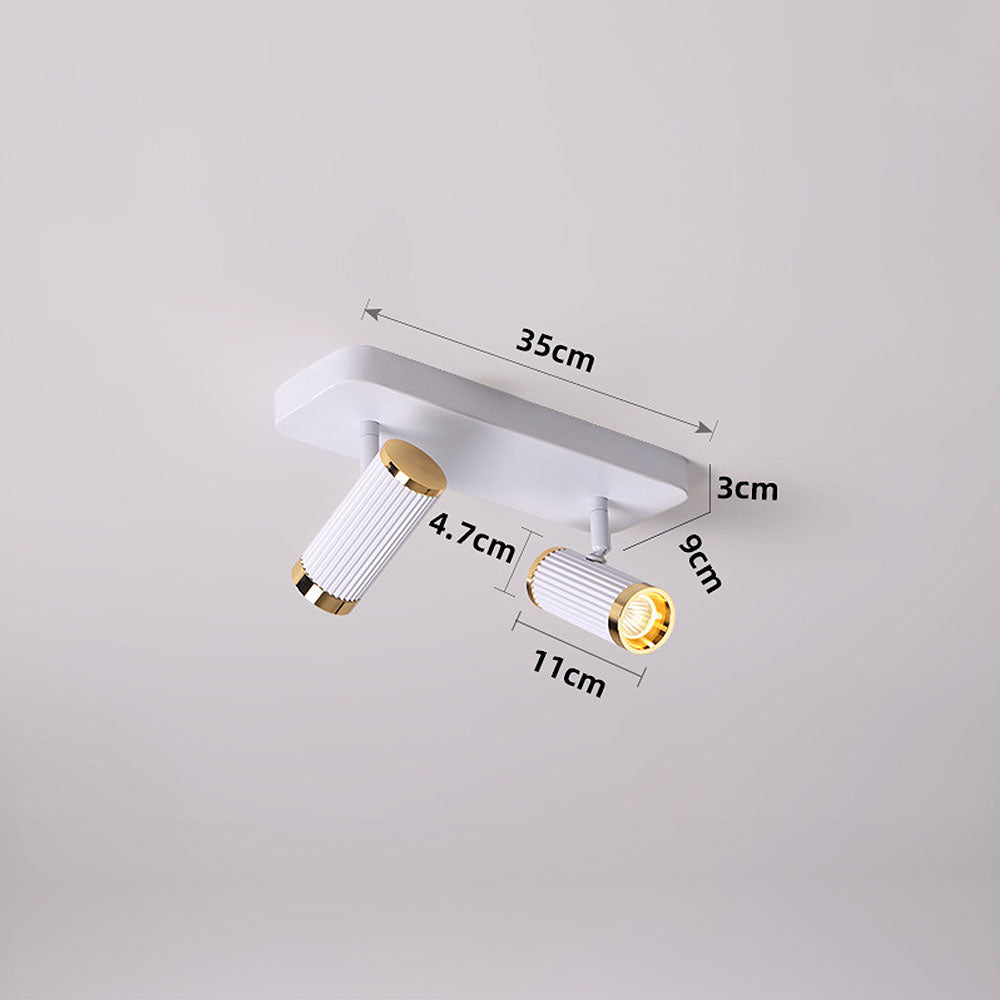 Celzilo Ceiling Light