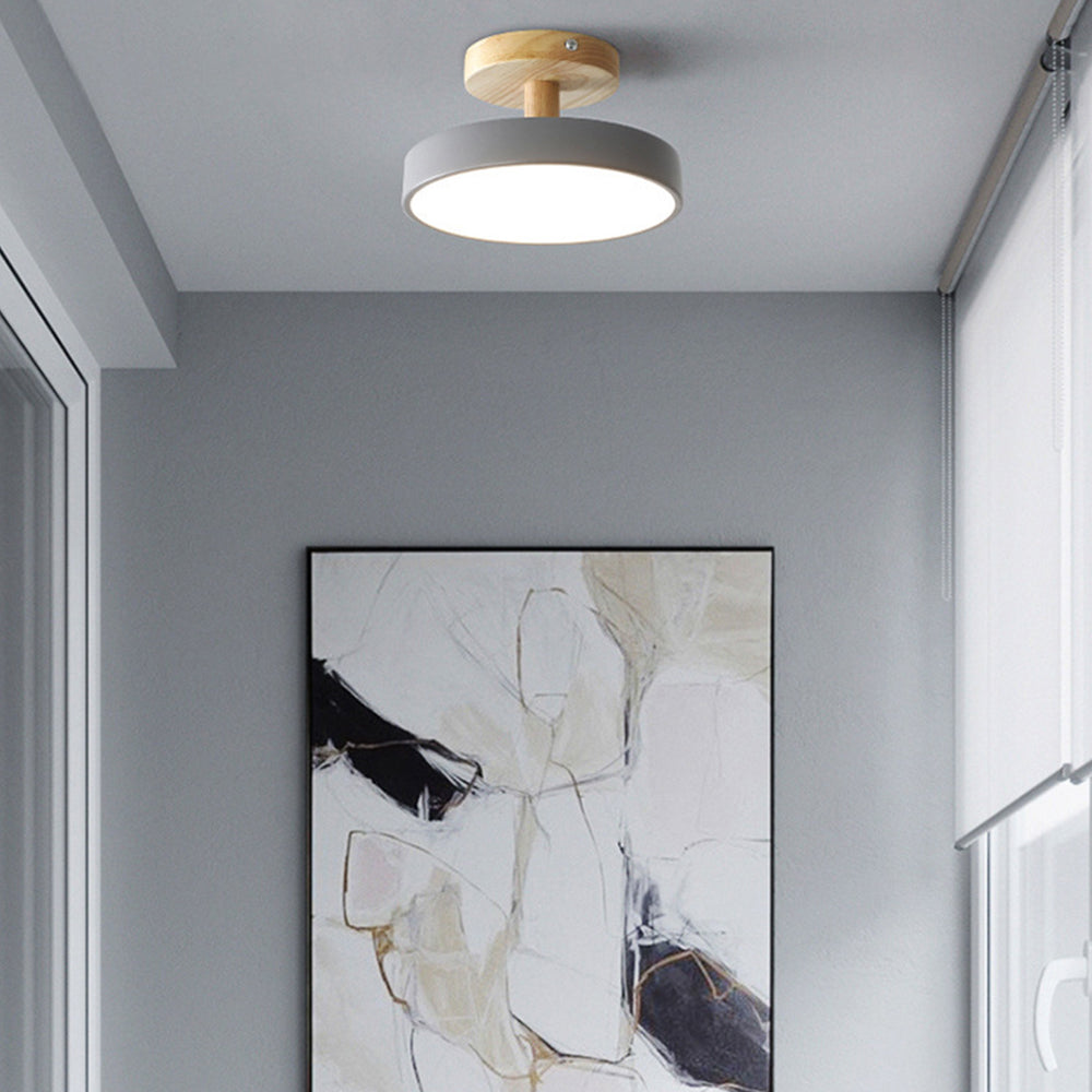 Pedol Ceiling Light