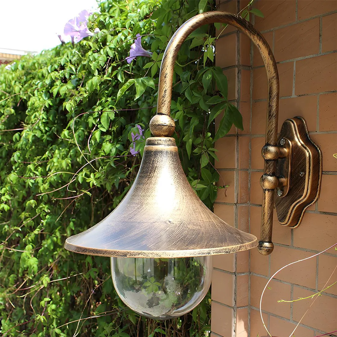 Conceva Lantern Outdoor Wall Light