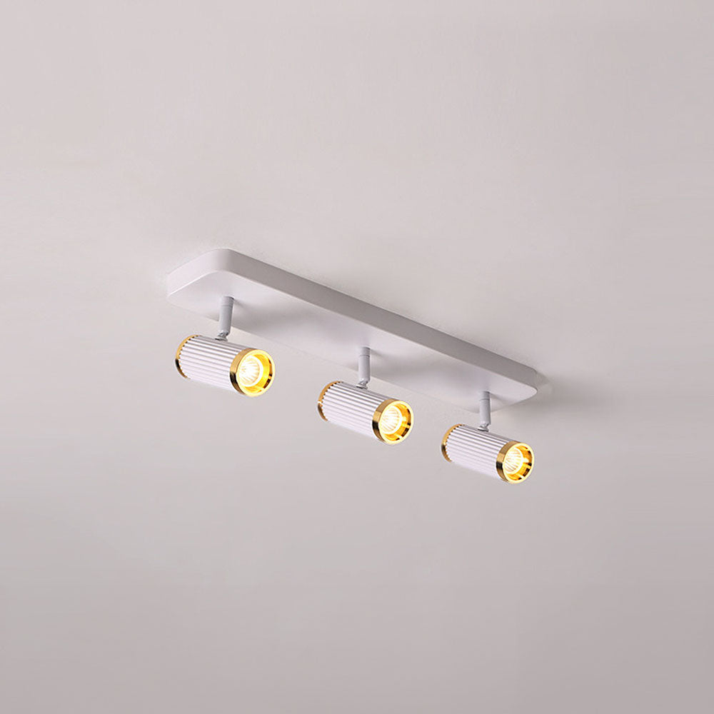 Celzilo Ceiling Light