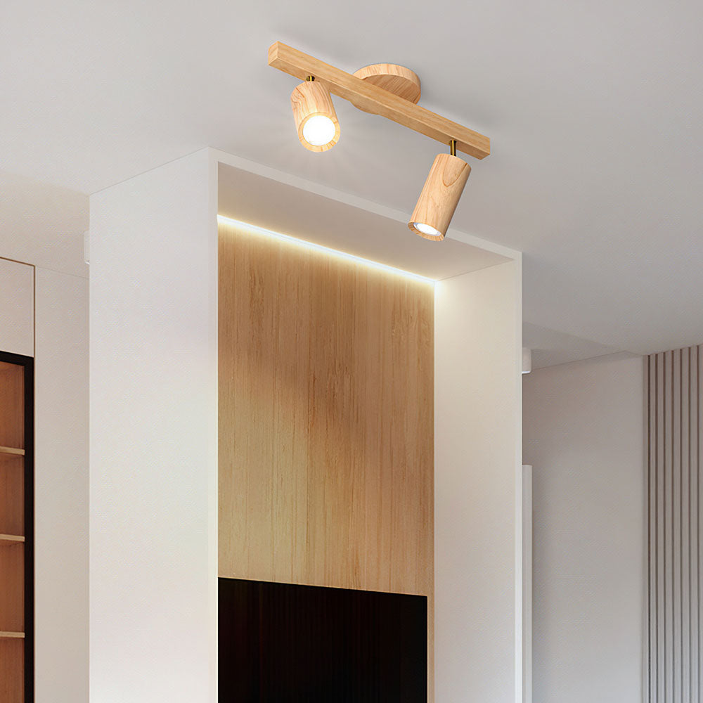 Metoza Ceiling Light