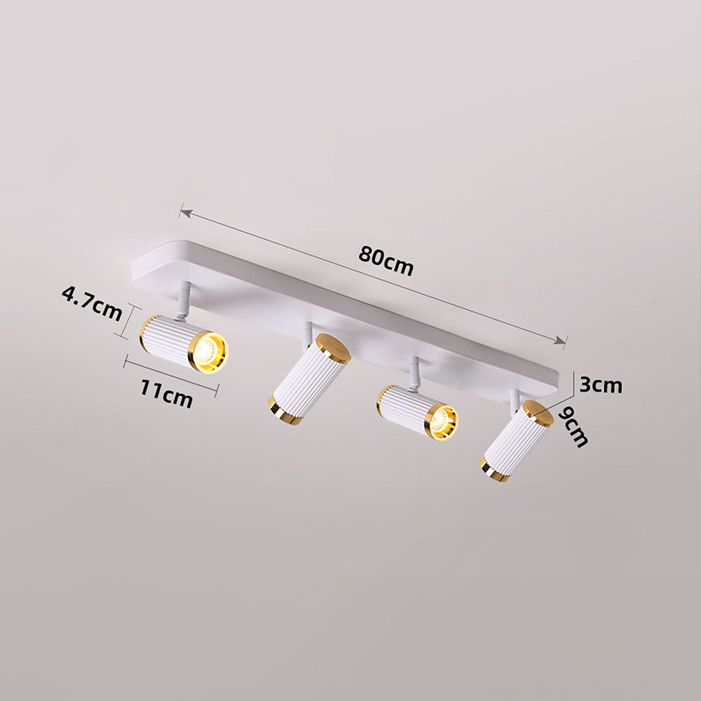 Celzilo Ceiling Light