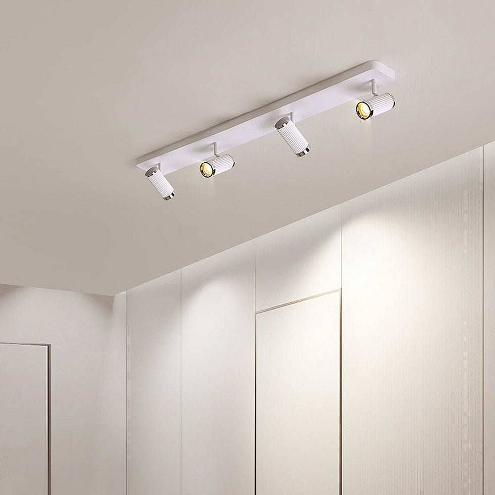 Celzilo Ceiling Light