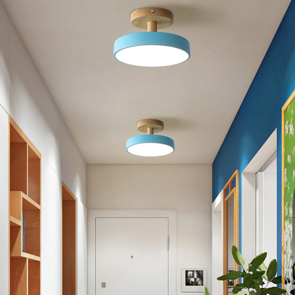 Pedol Ceiling Light
