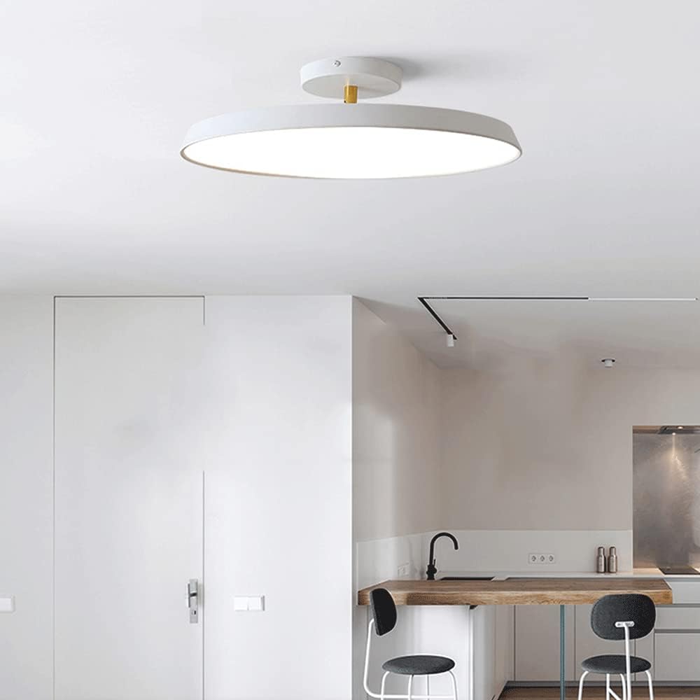 Veylith Ceiling Light