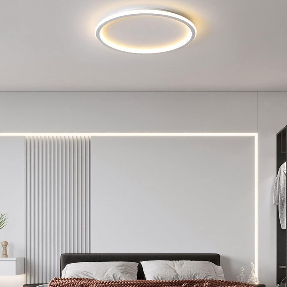 Circull Ceiling Light
