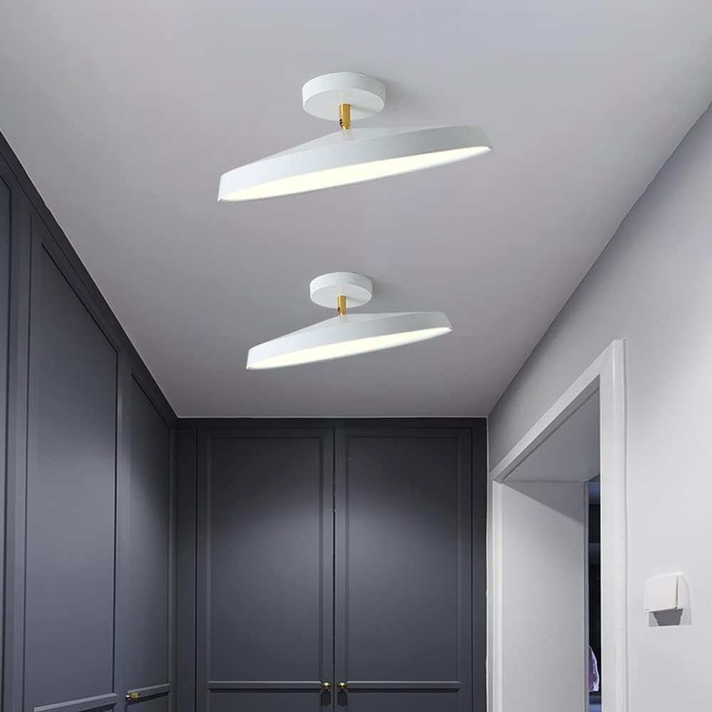 Veylith Ceiling Light