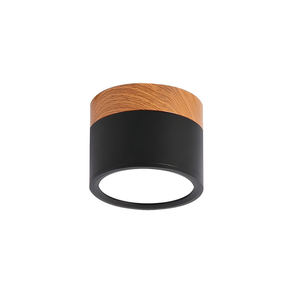 Cylinder Small Ceiling Light