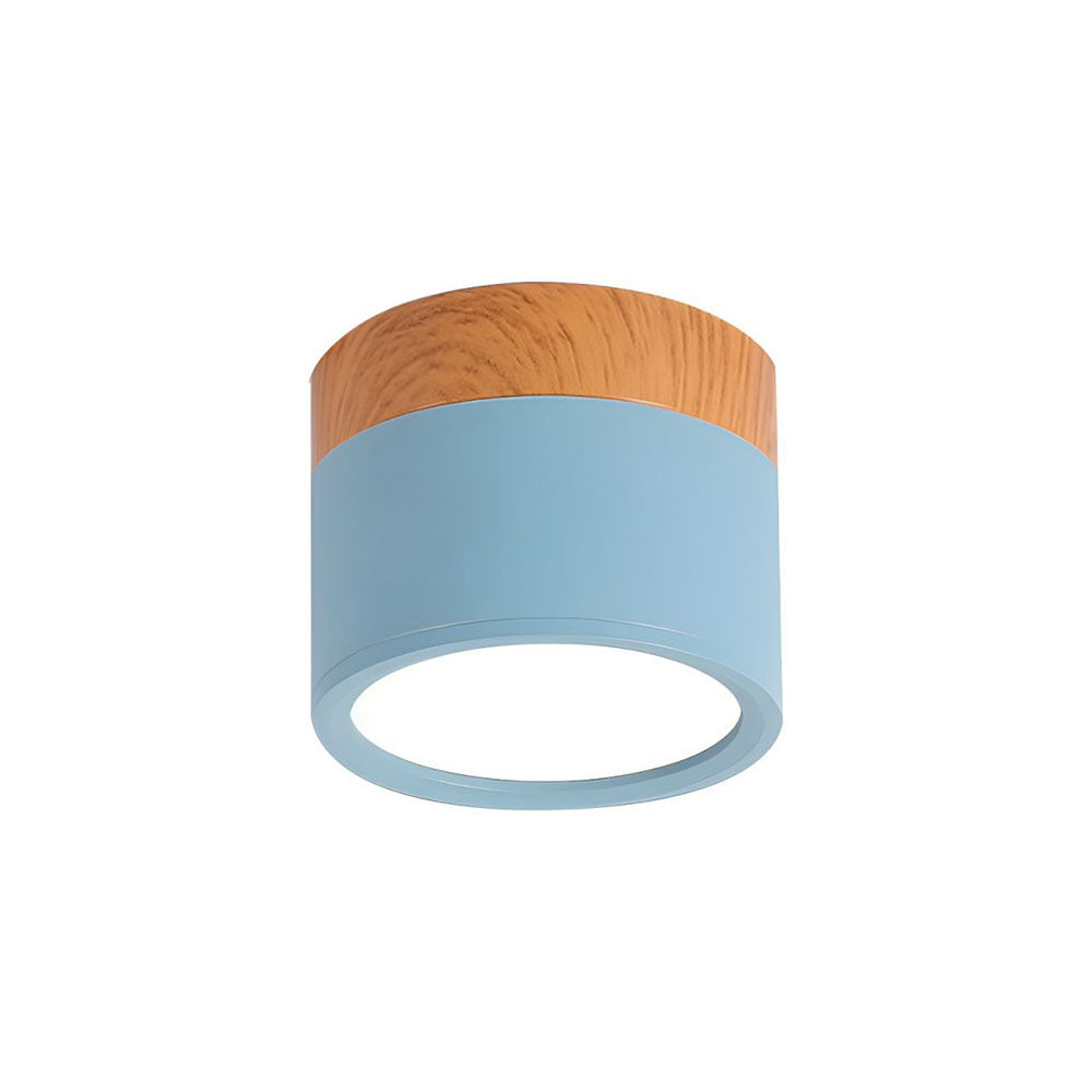 Cylinder Small Ceiling Light