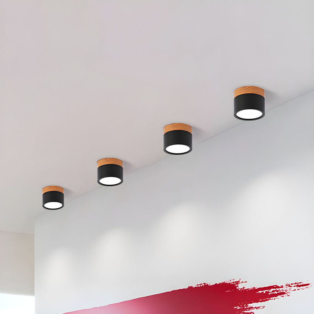 Cylinder Small Ceiling Light