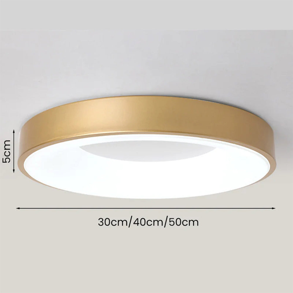 Ismon Ceiling Light