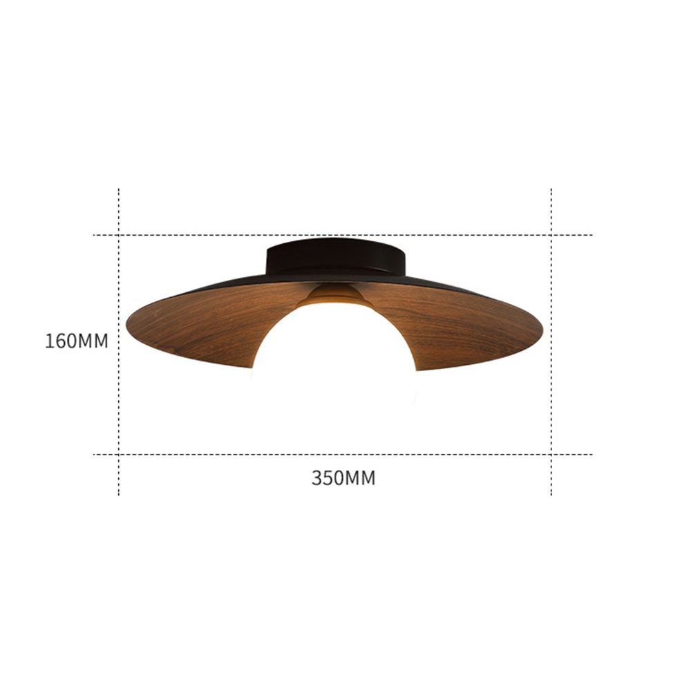 Entaro Ceiling Light