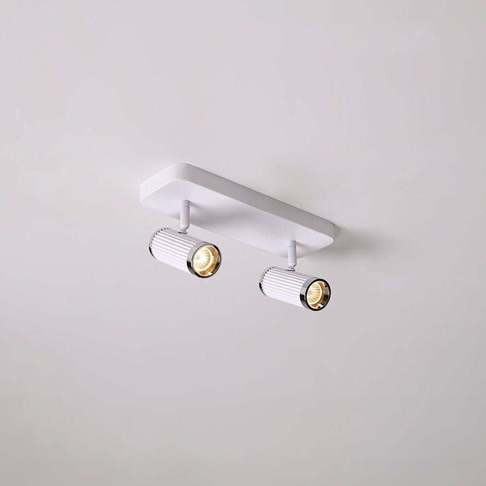 Celzilo Ceiling Light