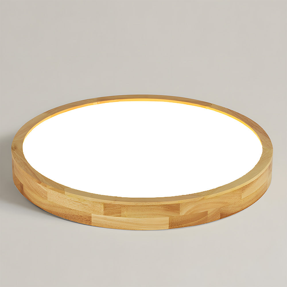 Erlivon Ceiling Light