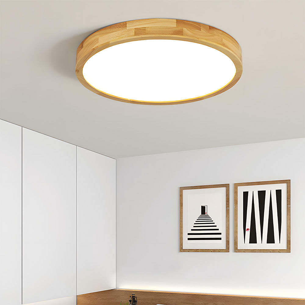 Erlivon Ceiling Light