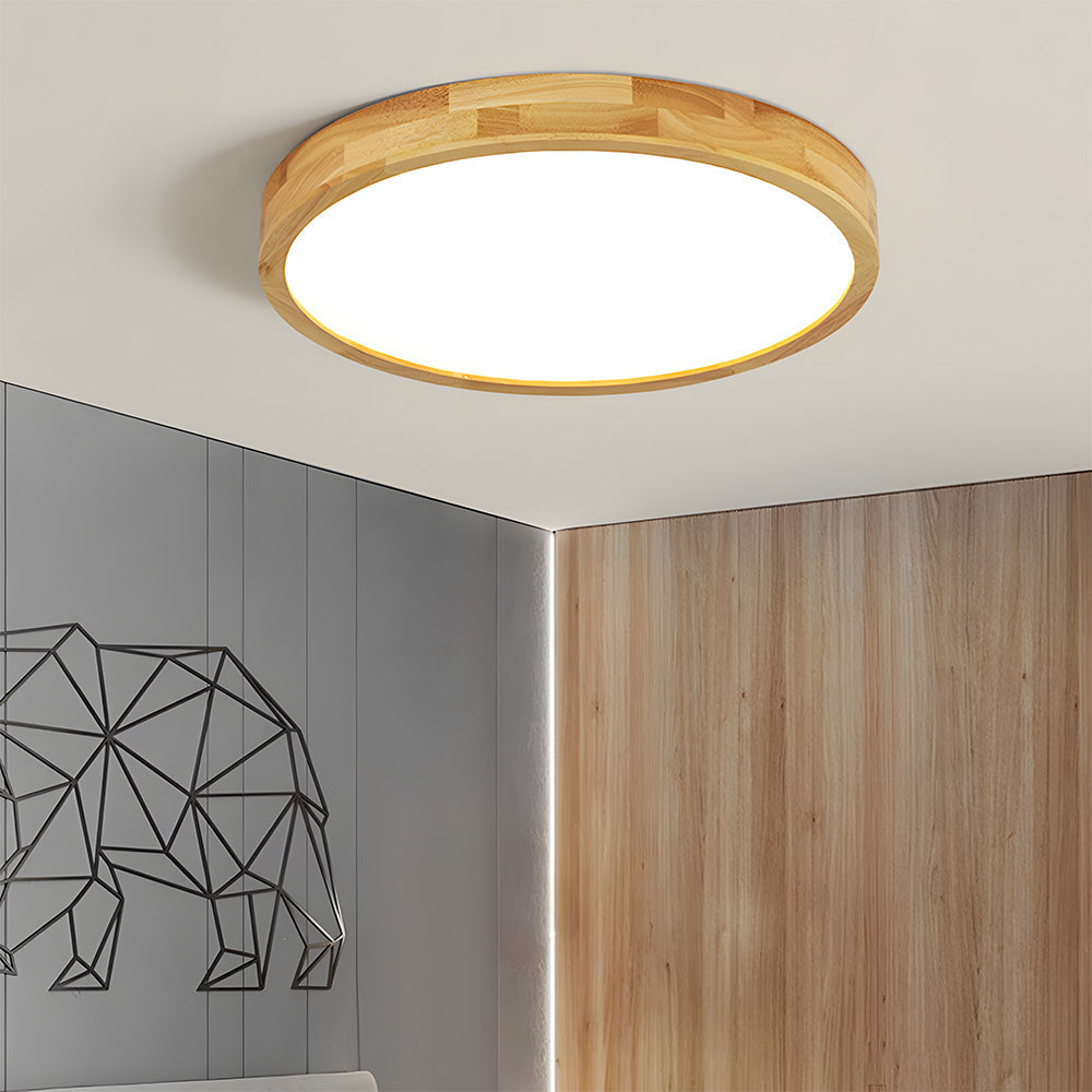 Erlivon Ceiling Light