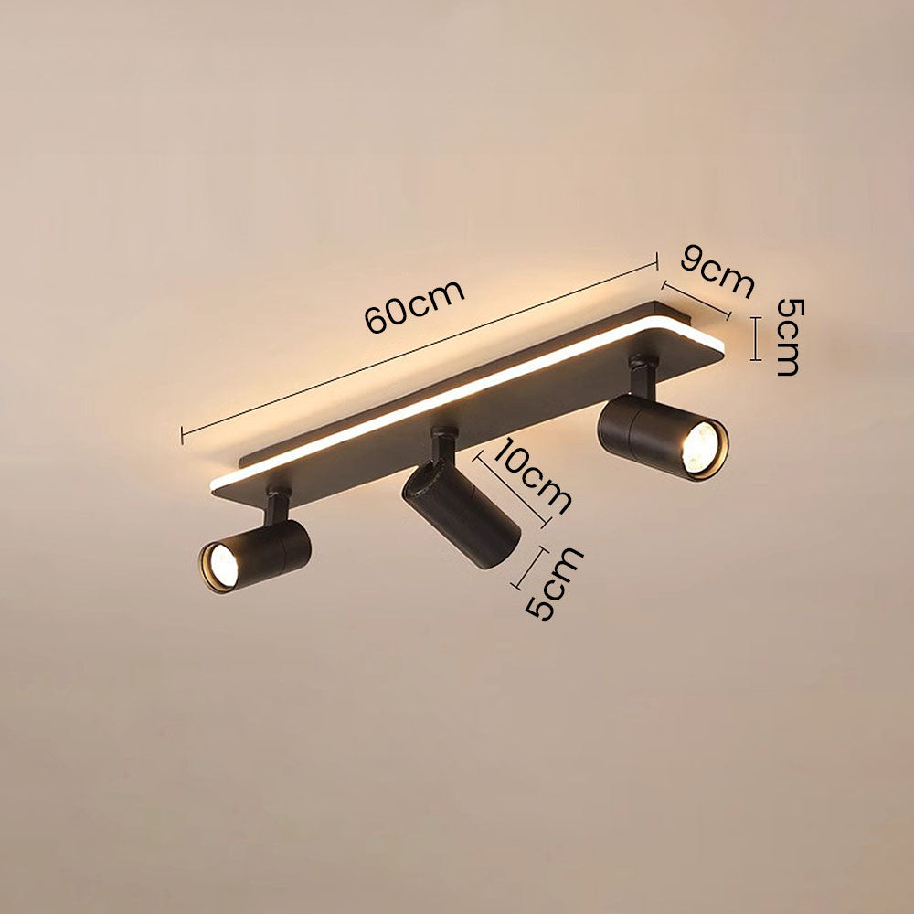 Triccon Ceiling Light