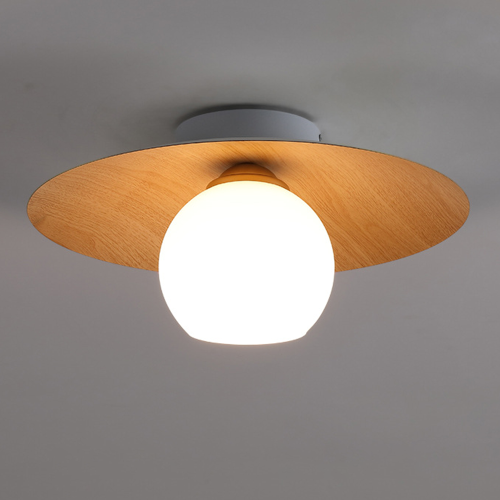 Entaro Ceiling Light