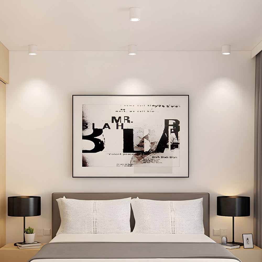 Velori Ceiling Light