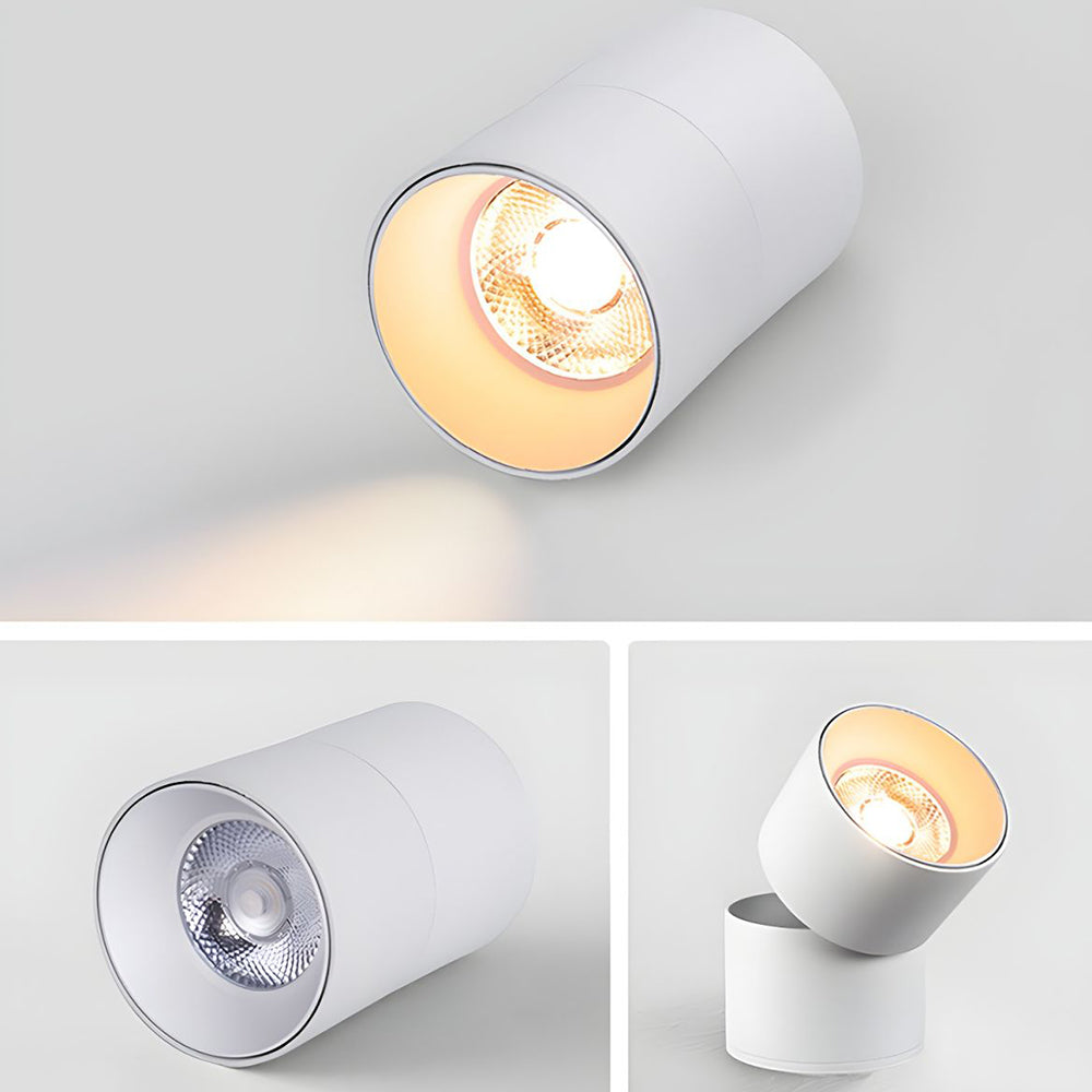 Velori Ceiling Light
