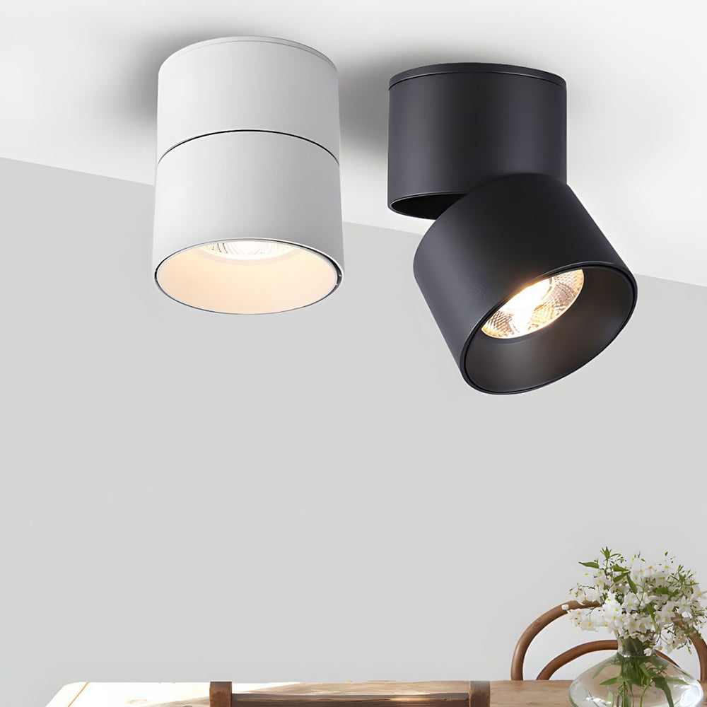 Velori Ceiling Light
