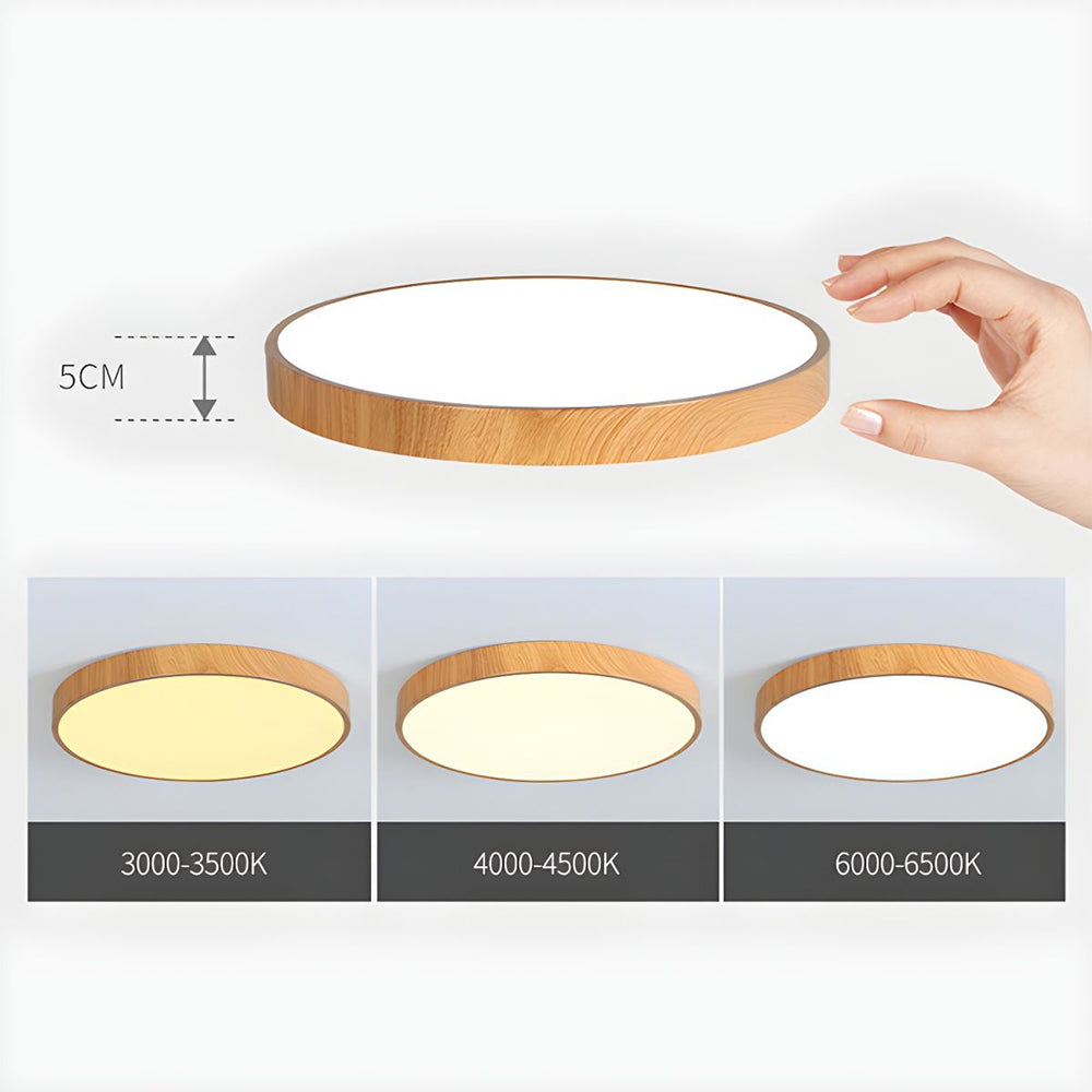 Concize Disc Ceiling Light