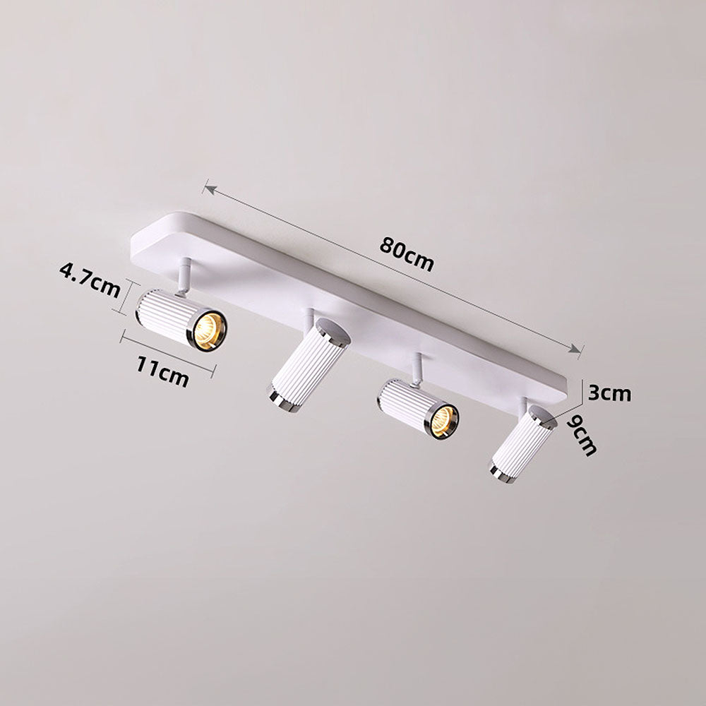 Celzilo Ceiling Light