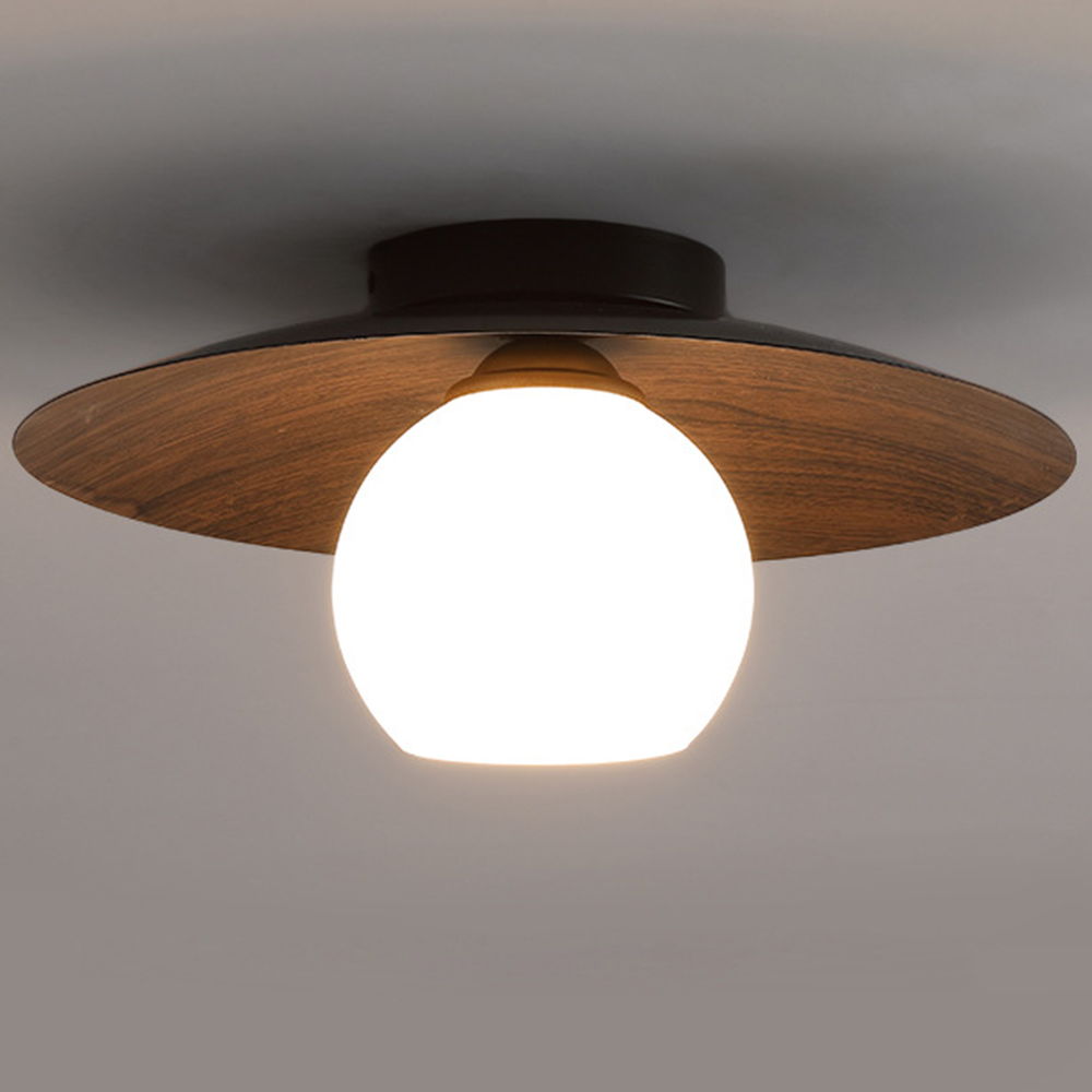 Entaro Ceiling Light