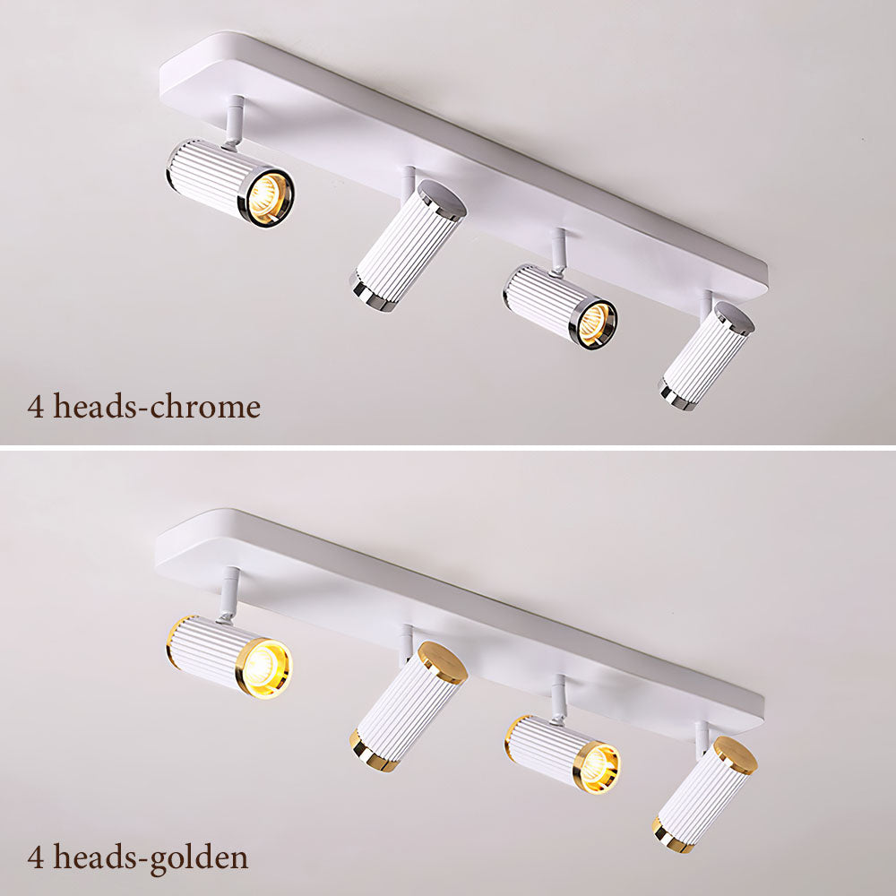 Celzilo Ceiling Light
