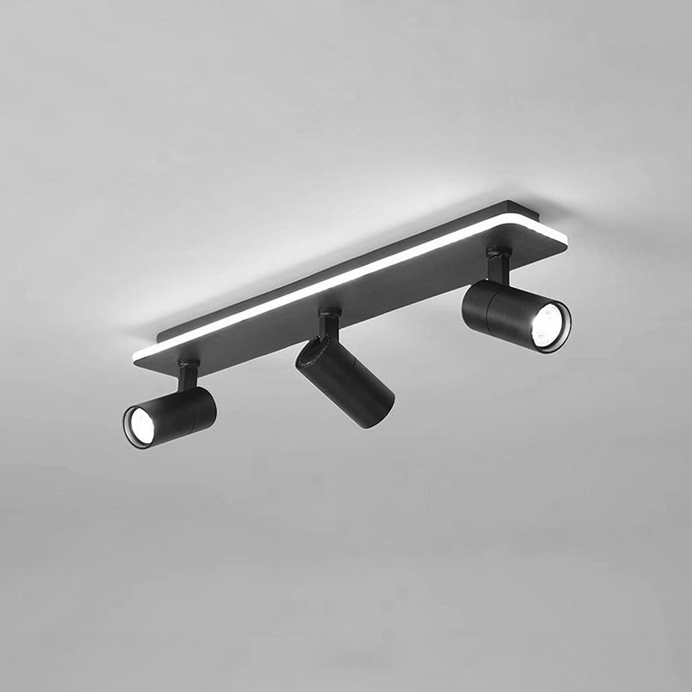 Triccon Ceiling Light