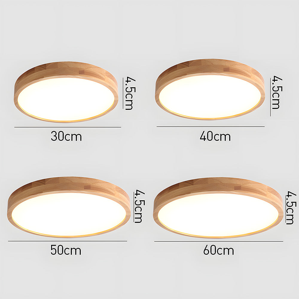 Erlivon Ceiling Light