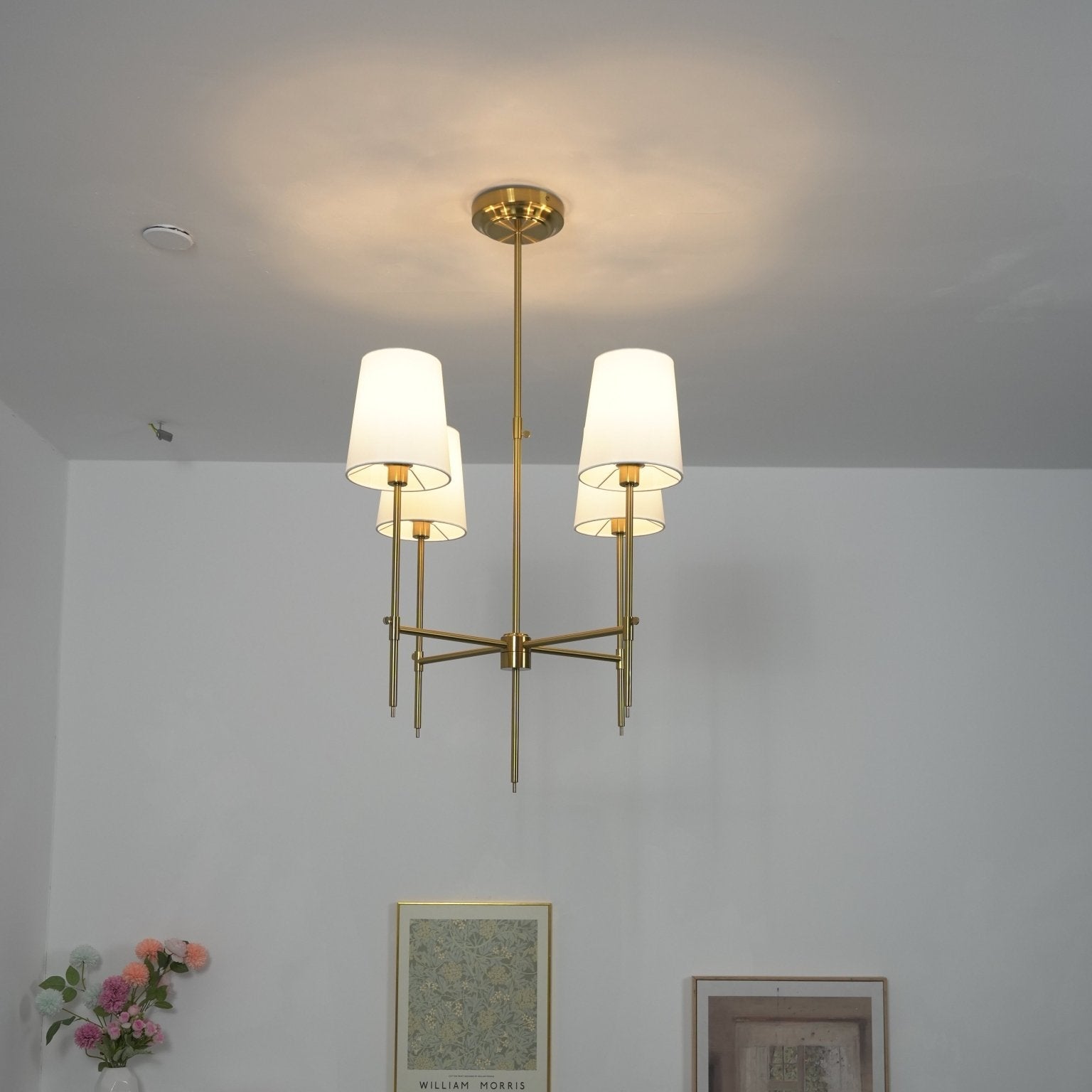 Delavo Brass Ceiling Light