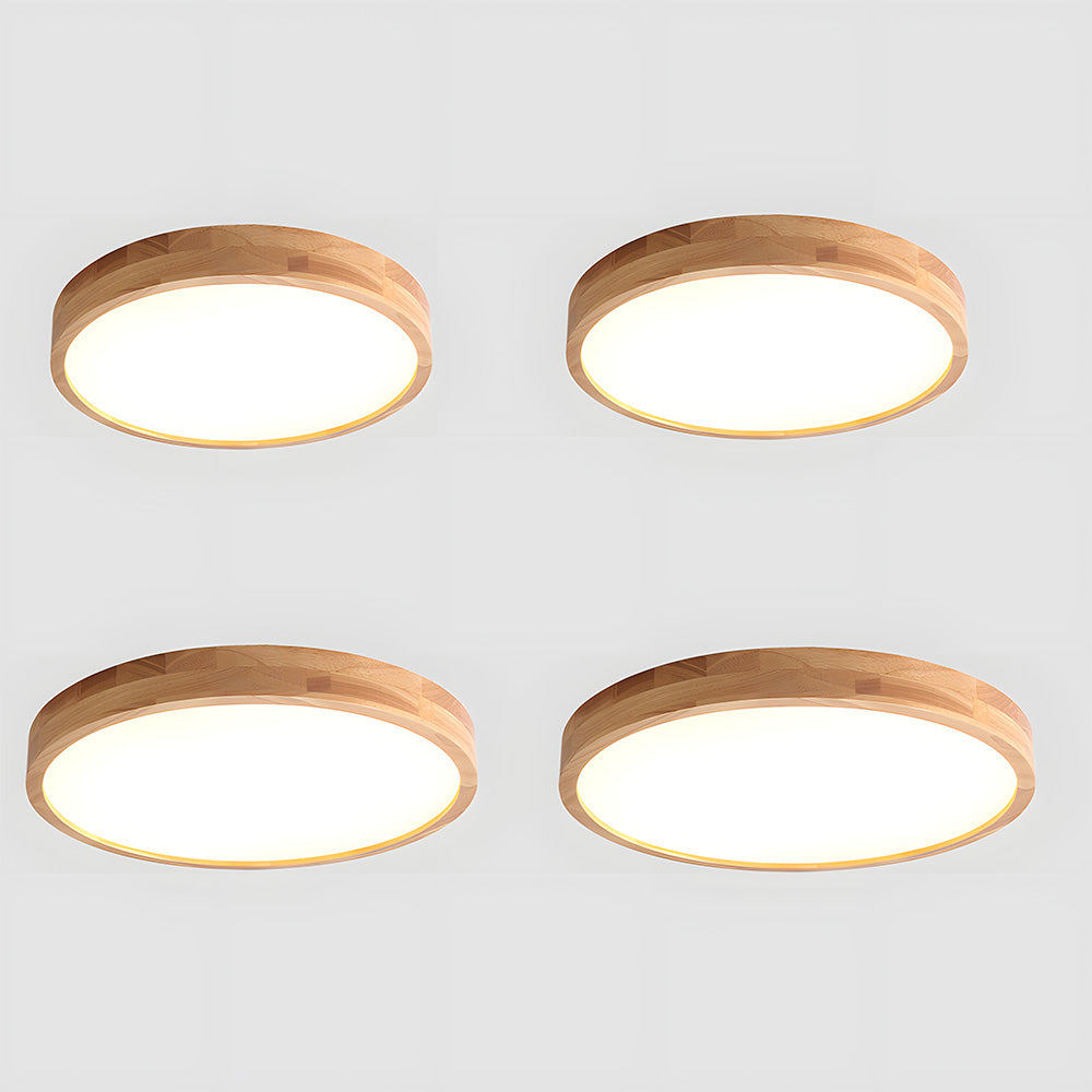 Erlivon Ceiling Light