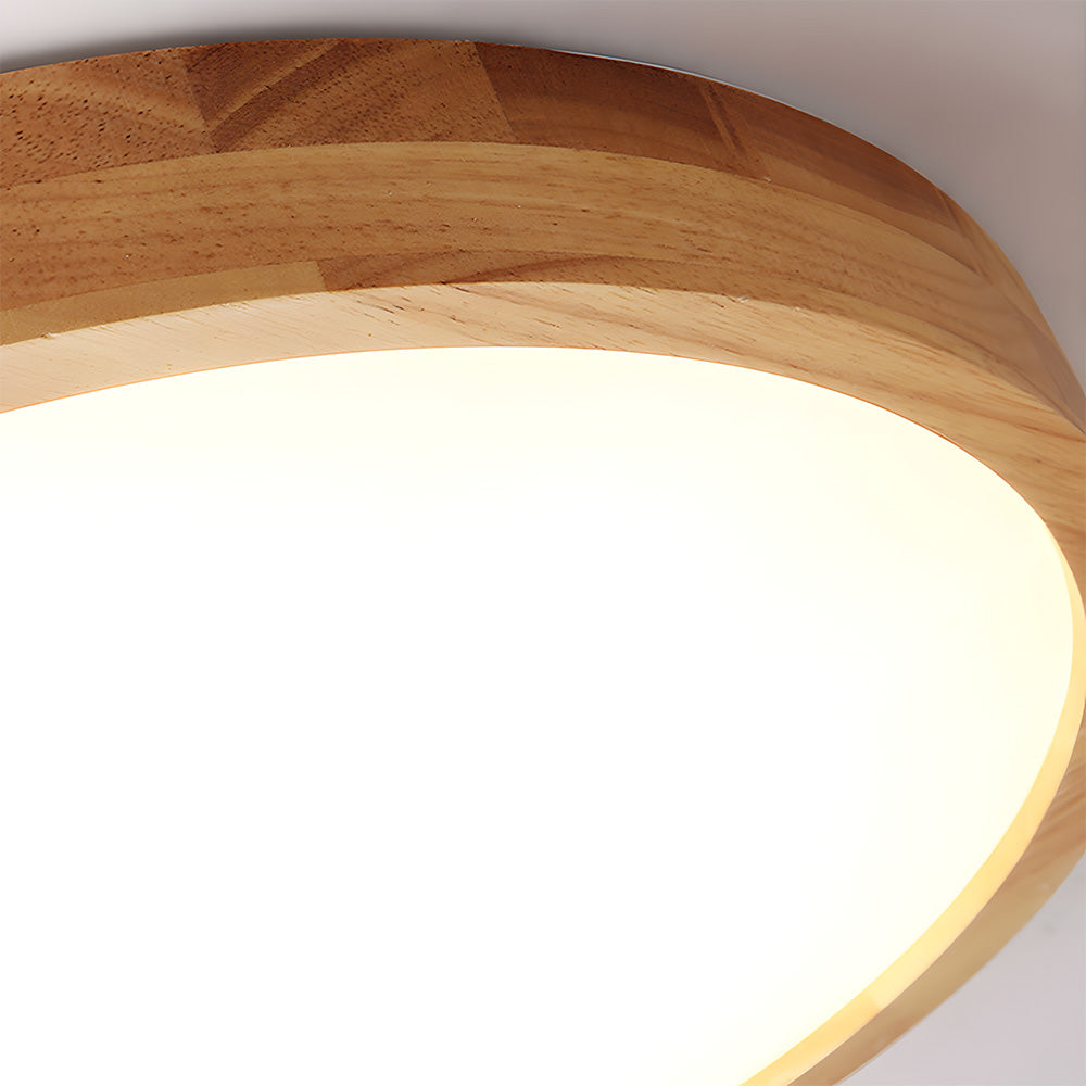 Erlivon Ceiling Light