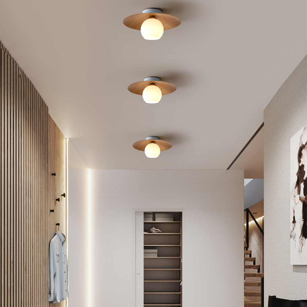 Entaro Ceiling Light
