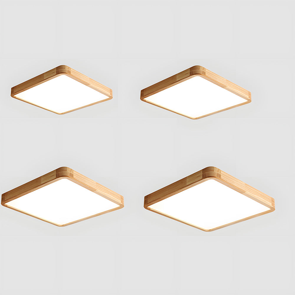 Erlivon Ceiling Light