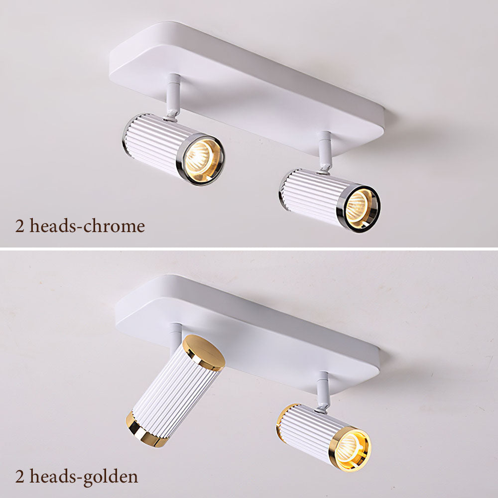 Celzilo Ceiling Light