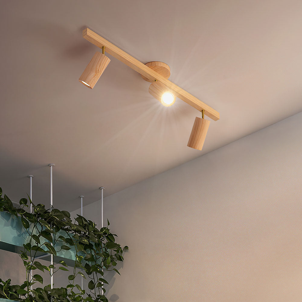 Metoza Ceiling Light