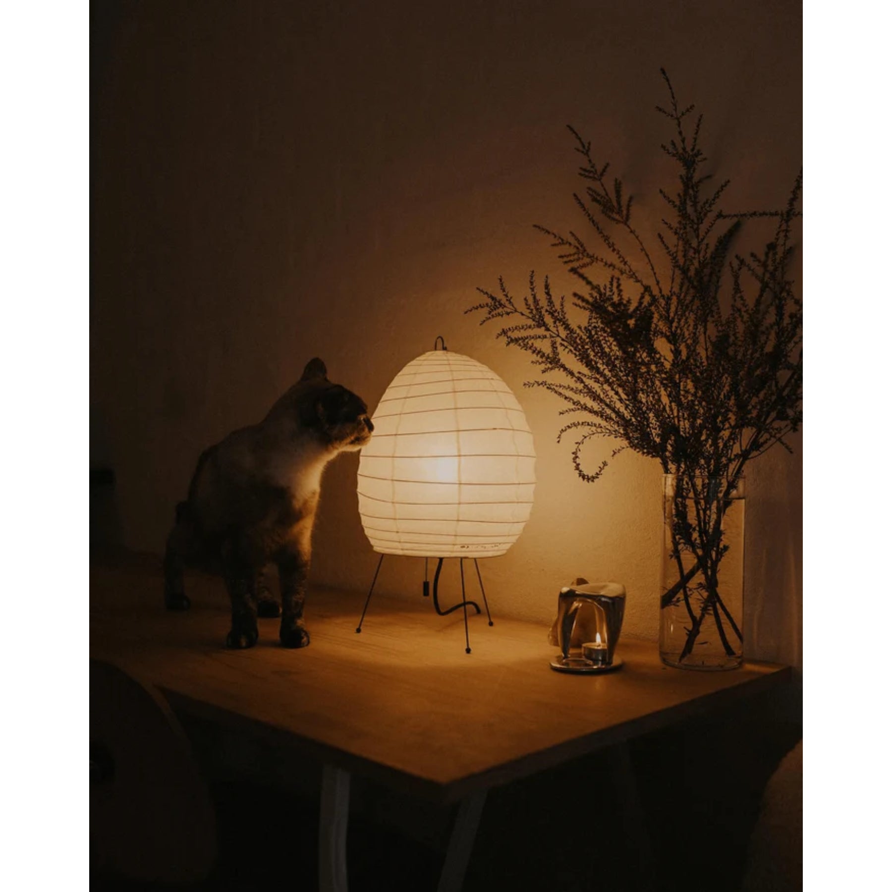 Kymo Paper Table Lamp