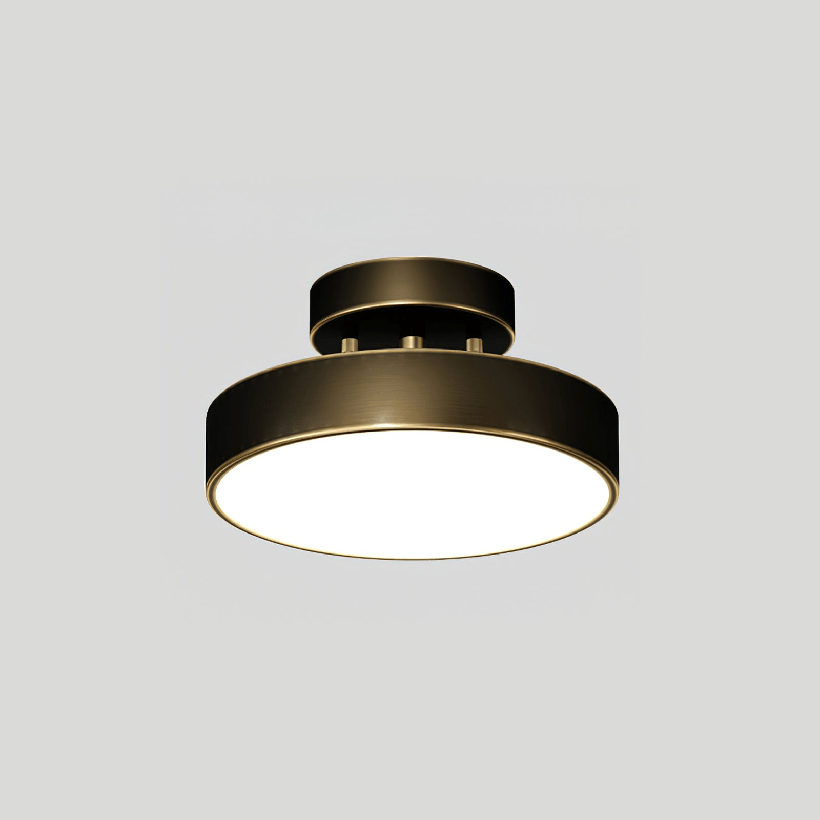 Seccon Ceiling Light